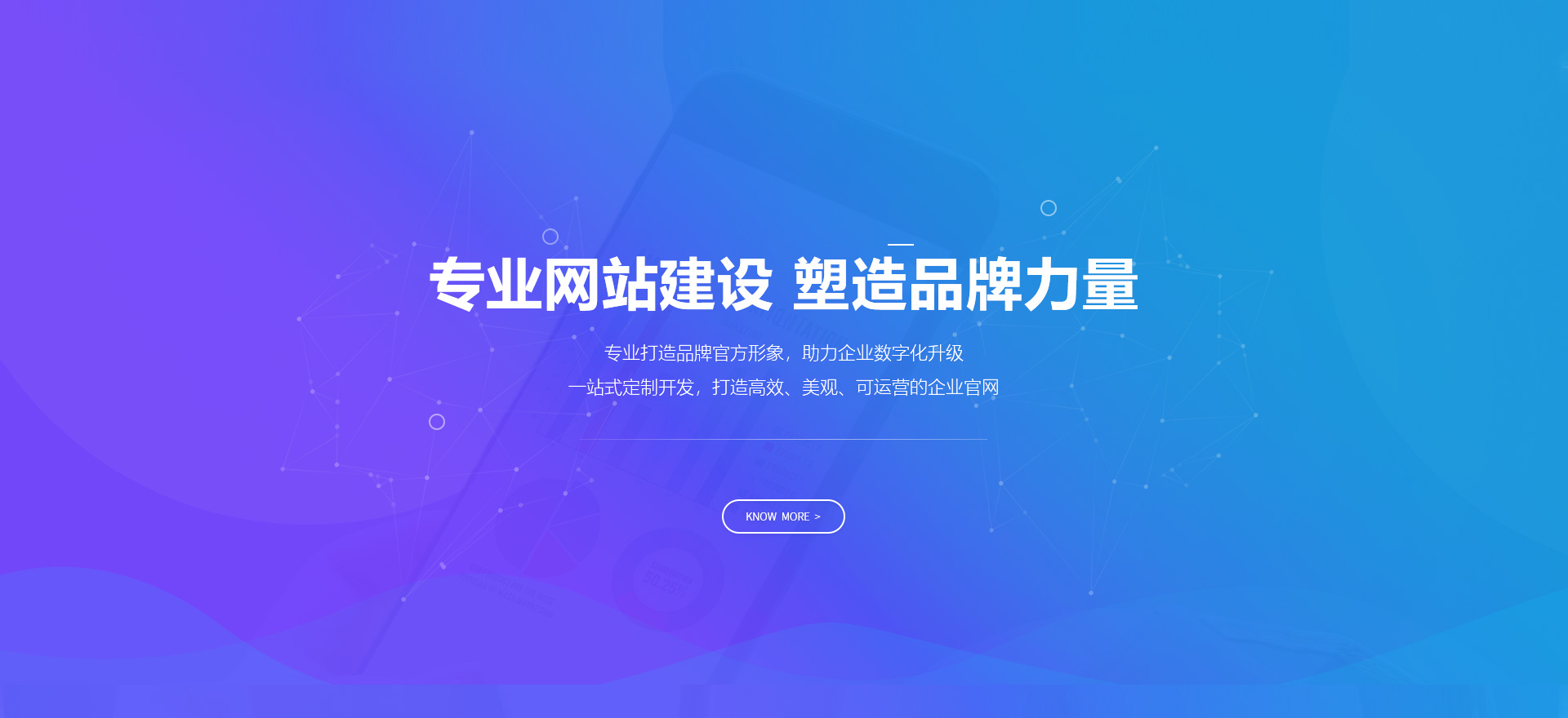 保亭建站-专业网站建设 塑造品牌力量