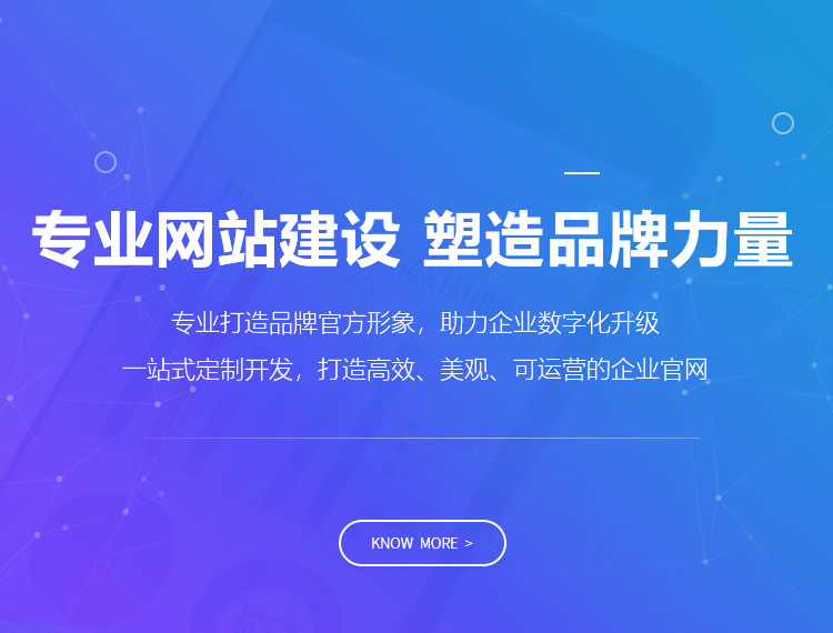 保亭建站-专业网站建设 塑造品牌力量